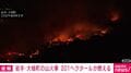岩手・大槌町の山火事 201ヘクタールが燃える