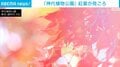 「神代植物公園」紅葉が見ごろ 東京・調布市