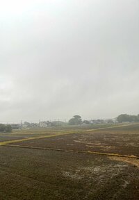 北斗晶『ホットドッグ』