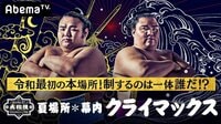 【クライマックス】大相撲LIVE 夏場所（幕内）7日目...