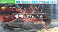 【映像】味はエビに似てる? ザリガニ専門店の料理