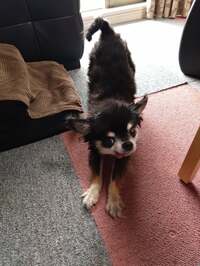 山田花子『バタバタした日』