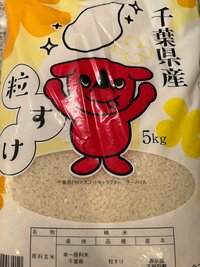 華原朋美『新しいお米』