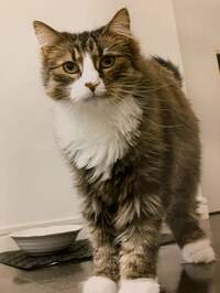 遠野なぎこ『『ご報告♡』』