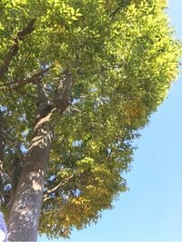 横山だいすけ『まさかの…』