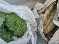 高橋英樹『我が家の冷蔵庫？』