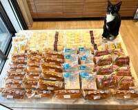 藤あや子『本日のパン』