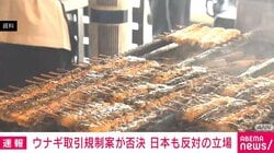 ワシントン条約 ウナギ国際取引の規制提案は否決に 日本政府も反対