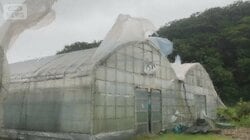 「ダブル台風」7号北上、マリアナ諸島沖に8号　ともに列島接近か　発生数は平年の2倍