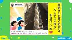 農家もびっくり？ 美しすぎる大根に絶賛の嵐「もはや芸術作品」「ソフトクリームかと思った」