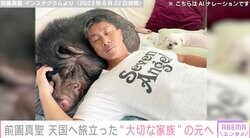 前園真聖、“大切な家族”セブンくんの雪積もる墓前へ「たまには家に帰ってね」と語りかけ