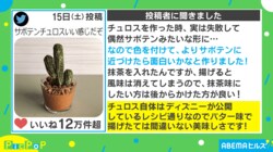 「来年のバレンタイン決まった…」「クオリティ高すぎ」お菓子で作った“観葉植物”が話題