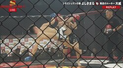 【画像】極真世界王者がBD戦士を衝撃失神KO