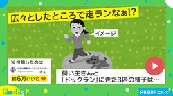 ドッグランで“無ラン”? まったり過ごす犬たちに「牧場かな?」と爆笑の声