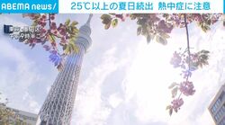関東などで夏日続出