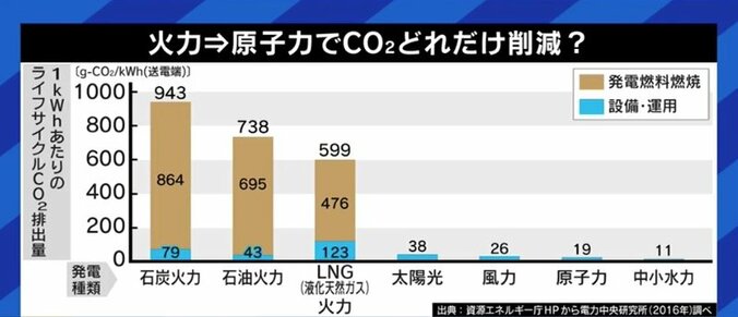 この冬、首都圏では電力危機の可能性も?…脱石炭と脱原発、目標達成は本当に可能なのか 7枚目