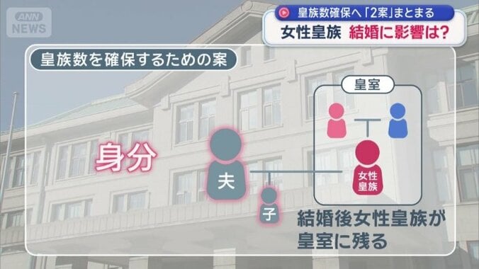 意見が分かれている