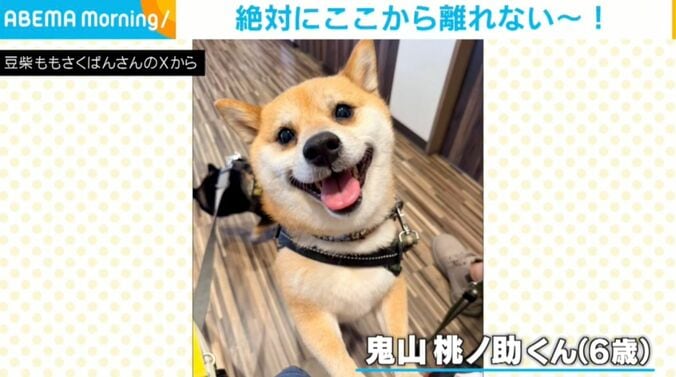 鬼山桃ノ助くん