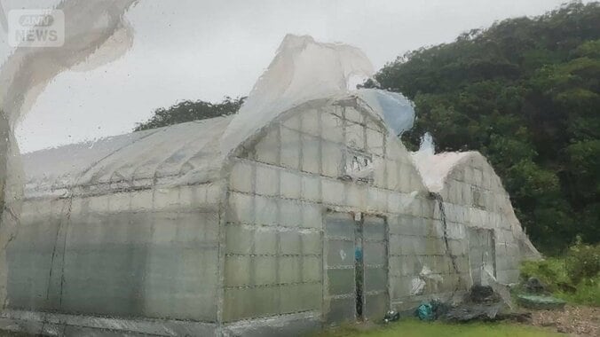 「ダブル台風」7号北上、マリアナ諸島沖に8号　ともに列島接近か　発生数は平年の2倍 1枚目