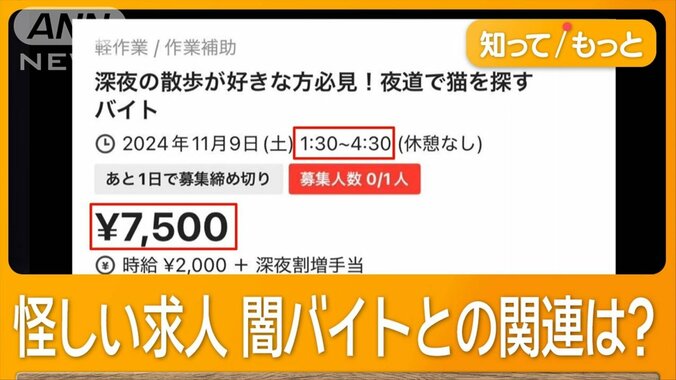 「真夜中のネコ探し」バイトアプリに怪しい求人　闇バイトとの関連は　掲載元は削除 1枚目