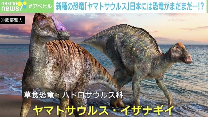 「恐竜研究者を目指す子どもたちへ」日本は“恐竜”が眠る国？ 淡路島で新種の化石を発見 1枚目