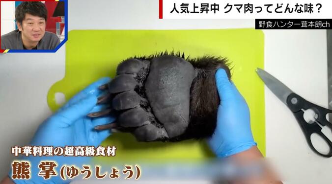 クマの手（熊掌）