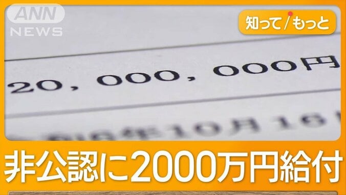 自民党「2000万円支給」広がる波紋　「候補者使わず」説明も　野党から反発続々 1枚目