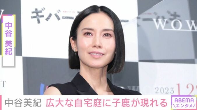 中谷美紀