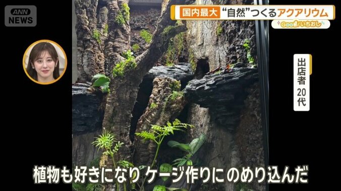 「日々変化することが楽しい魅力」