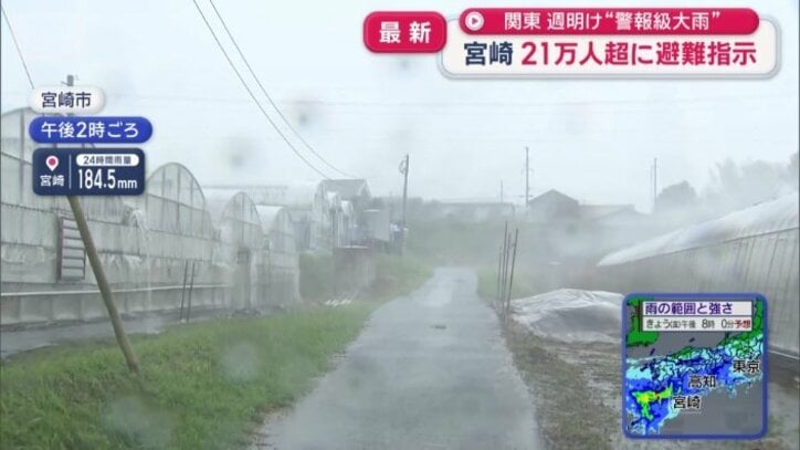 宮崎市