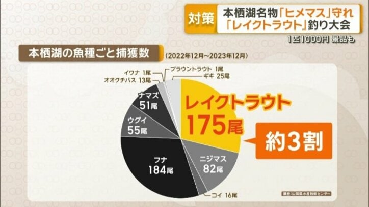 本栖湖の魚種ごと捕獲数