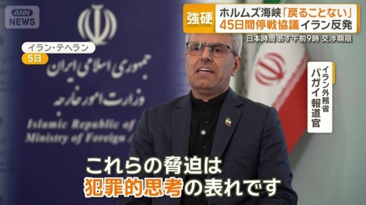 イラン外務省　バガイ報道官