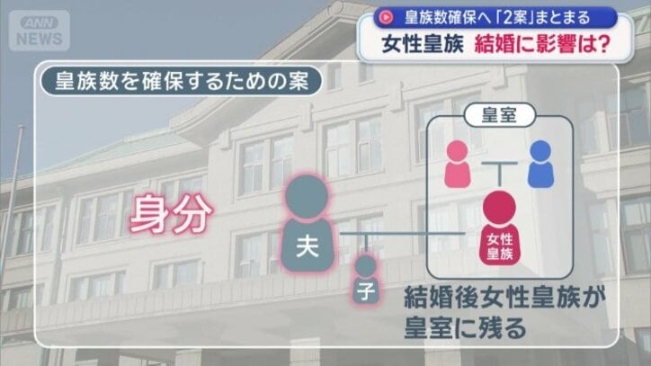 意見が分かれている