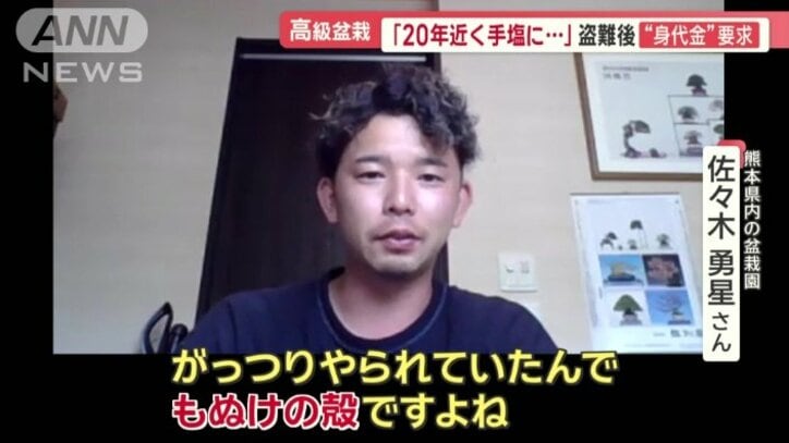 熊本県内の盆栽園 佐々木勇星さん
