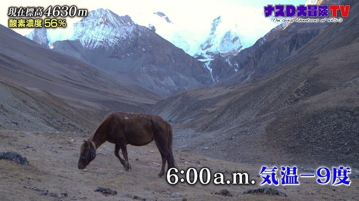 ナスD「今までの中で1番めちゃくちゃ…」峠越えで起きた“ハプニング”に胸中赤裸々