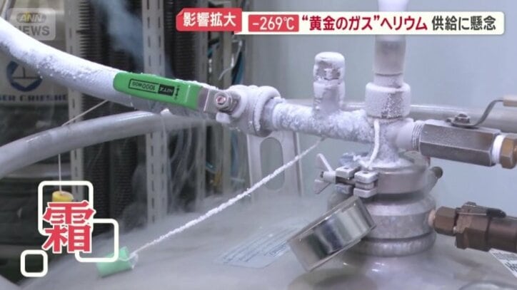 霜のようなものがびっしりと付いている