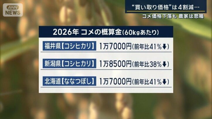 コメの概算金