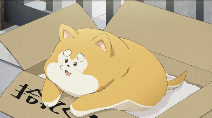 【写真・画像】アニメ「君は冥土様。」10月5日(土)より放送開始!ティザーPV第2弾・先行カット解禁! 4枚目