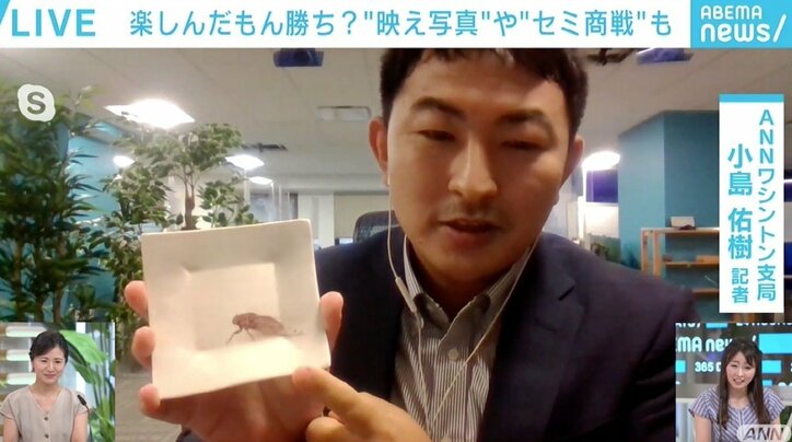 米東海岸で“17年ゼミ”が大量発生 日常生活に影響も楽しんだもん勝ち? アイデア続々