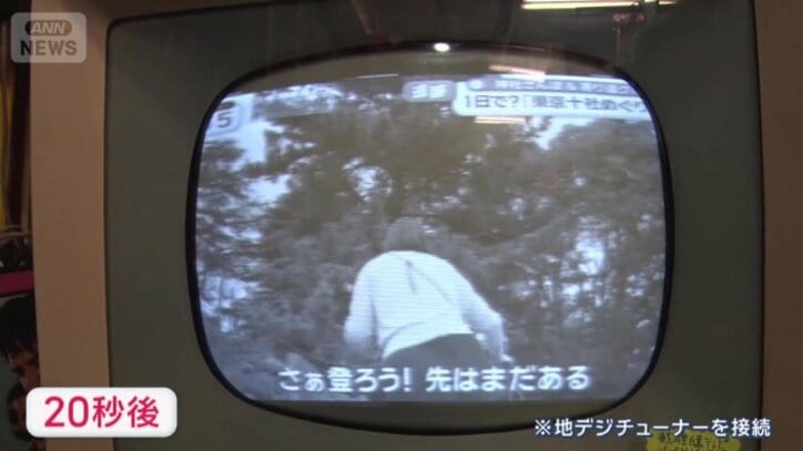 商品はすべて現役