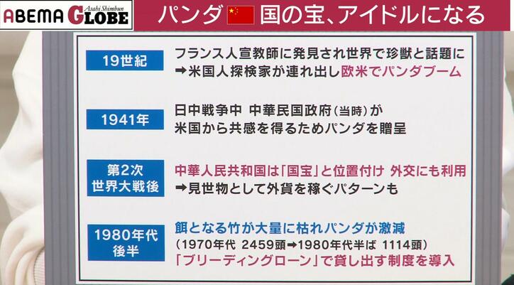 【写真・画像】中国で空前のパンダブーム？“パンダ外交”の意外な歴史とは？記者が解説「年間のレンタル料は約1億5000万円」　4枚目