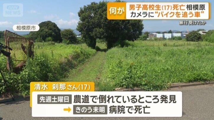 神奈川県相模原市