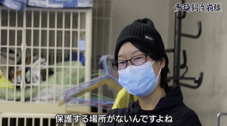 「2匹の猫が30匹に…」社会的孤立、高齢化、貧困問題が生む“多頭飼育崩壊”の現実