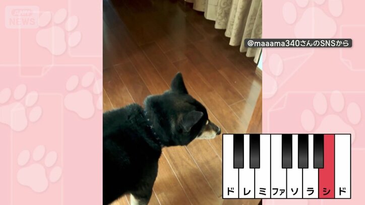 音階をよく聞き…