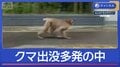 クマ出没各地で多発…サルも“市内で目撃40件”