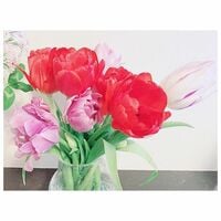 押切もえ、第2子の妊娠を発表 「これから更にハッピーに」「幸せなお知らせありがとう」と祝福の声