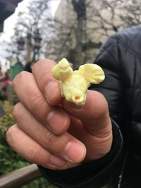 松本人志「ディズニーランドに行ってん」のツイートにフォロワー大興奮「可愛すぎ」