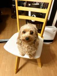 つちやかおり『口内帯状疱疹✨』