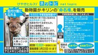 【動画】日本初!?「高齢の父キリンのため」赤ちゃんの命名権販売