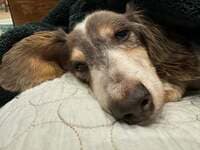 坂上忍『実は...』